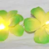 1 Set Of 20 LED Green Frangipani Flower Battery String Lights Christmas Gift Home Wedding Party Decoration Outdoor Table Garland Wreath -Generic Christmas Store v382 grfrangibatt20 68330 00