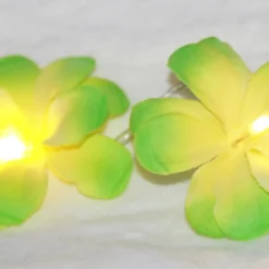 1 Set Of 20 LED Green Frangipani Flower Battery String Lights Christmas Gift Home Wedding Party Decoration Outdoor Table Garland Wreath