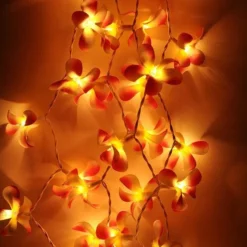 1 Set Of 20 LED Orange Frangipani Flower Battery String Lights Christmas Gift Home Wedding Party Decoration Outdoor Table Garland Wreath -Generic Christmas Store v382 orfrangibatt20 68329 02