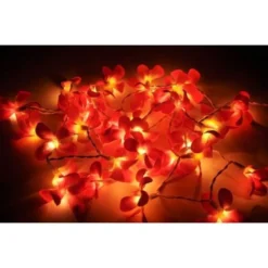 1 Set Of 20 LED Deep Red Frangipani Flower Battery String Lights Christmas Gift Home Wedding Party Decoration Outdoor Table Garland Wreath -Generic Christmas Store v382 redfrangibatt20 68328 02