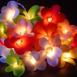 1 Set Of 20 LED Tropical Bright Colous Frangipani Flower Battery String Lights Christmas Gift Home Wedding Party Decoration Outdoor Table Centrepiece -Generic Christmas Store v382 tropfrangibatt20 68327 02