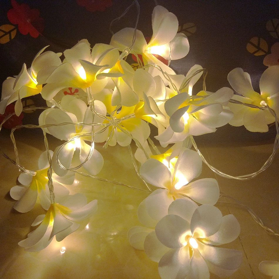 1 Set Of 20 LED White Frangipani Flower Battery String Lights Christmas Gift Home Wedding Beach Party Decoration Outdoor Table Centrepiece 5 1 Set Of 20 LED White Frangipani Flower Battery String Lights Christmas Gift Home Wedding Beach Party Decoration Outdoor Table Centrepiece - Image 3