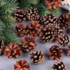 18 Christmas Natural Pine Cones Xmas Tree Hanging Home Decoration Ornament Gifts, 18x Natural Pinecones -Generic Christmas Store v474 227789 103187 00